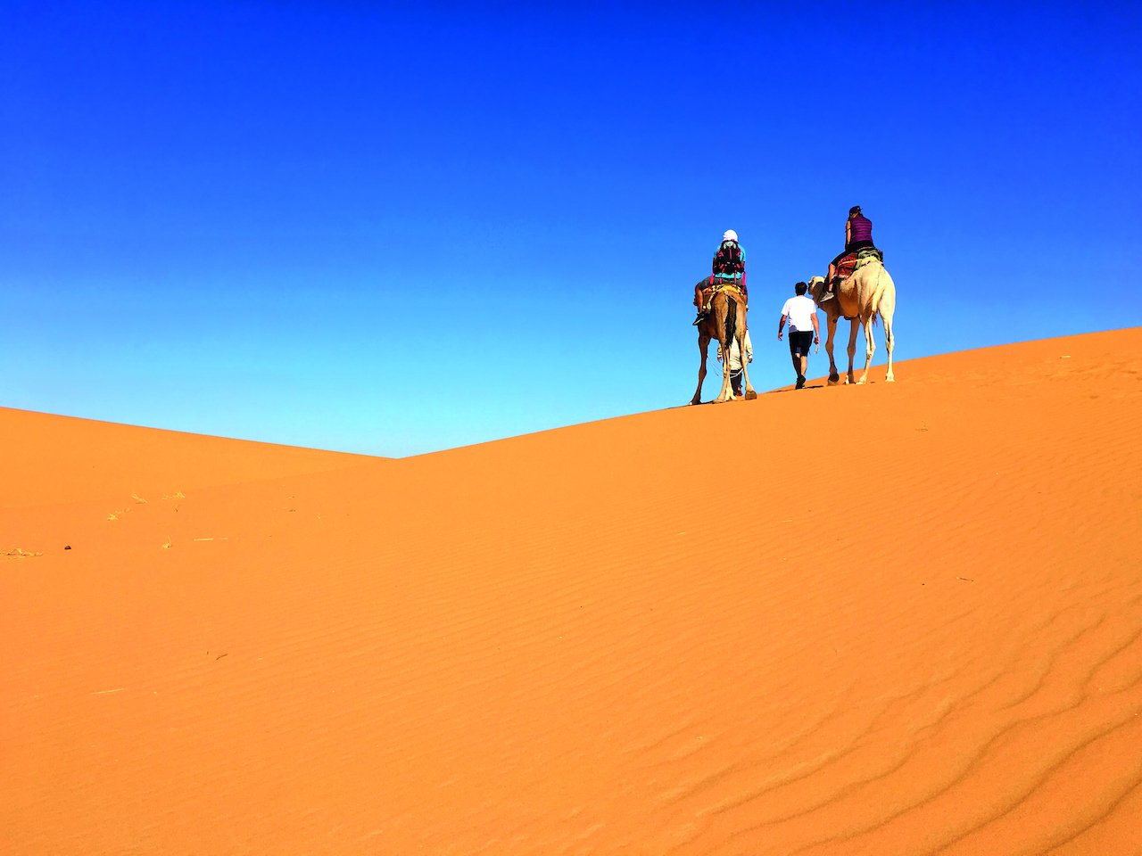 The Algerian Sahara, a thousand and one wonders : Sud