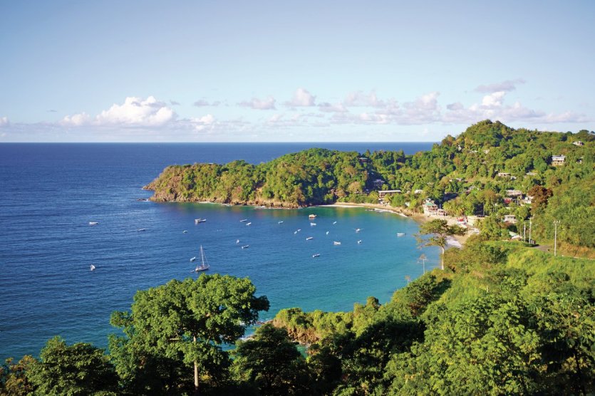 Tobago, a little-known jewel and kingdom of biodiversity : Tobago