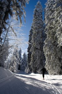 Ski de fond dans le Jura