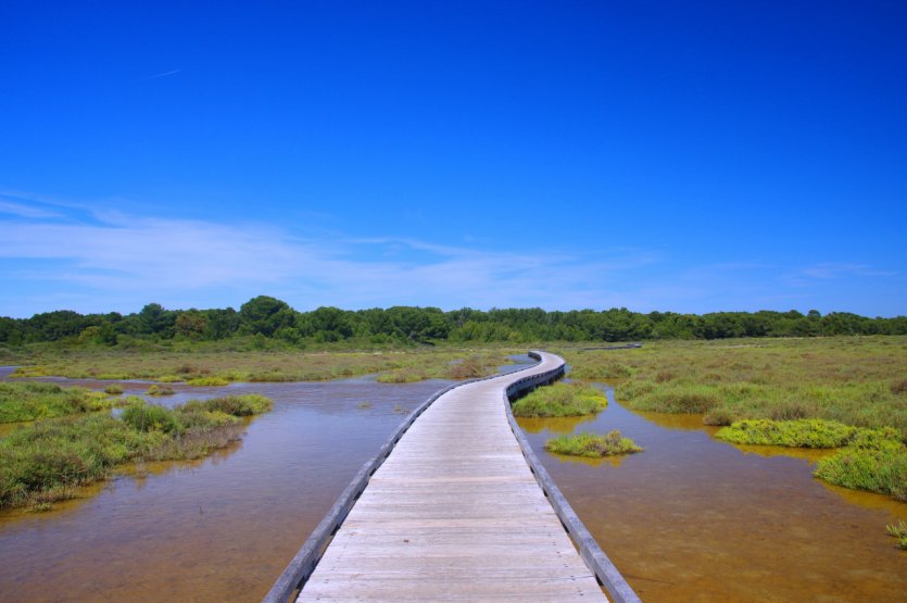 Les marais de Frontignan.