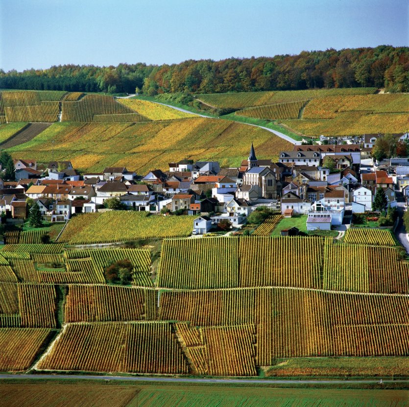 Village et vignoble de Champagne