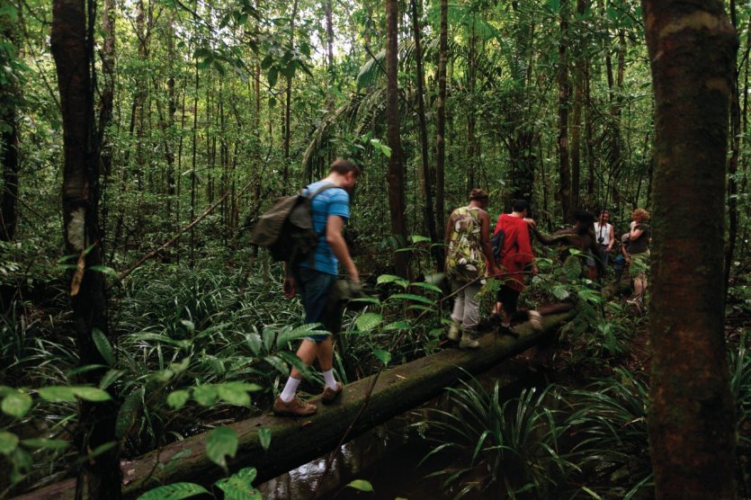 Randonnée en forêt.