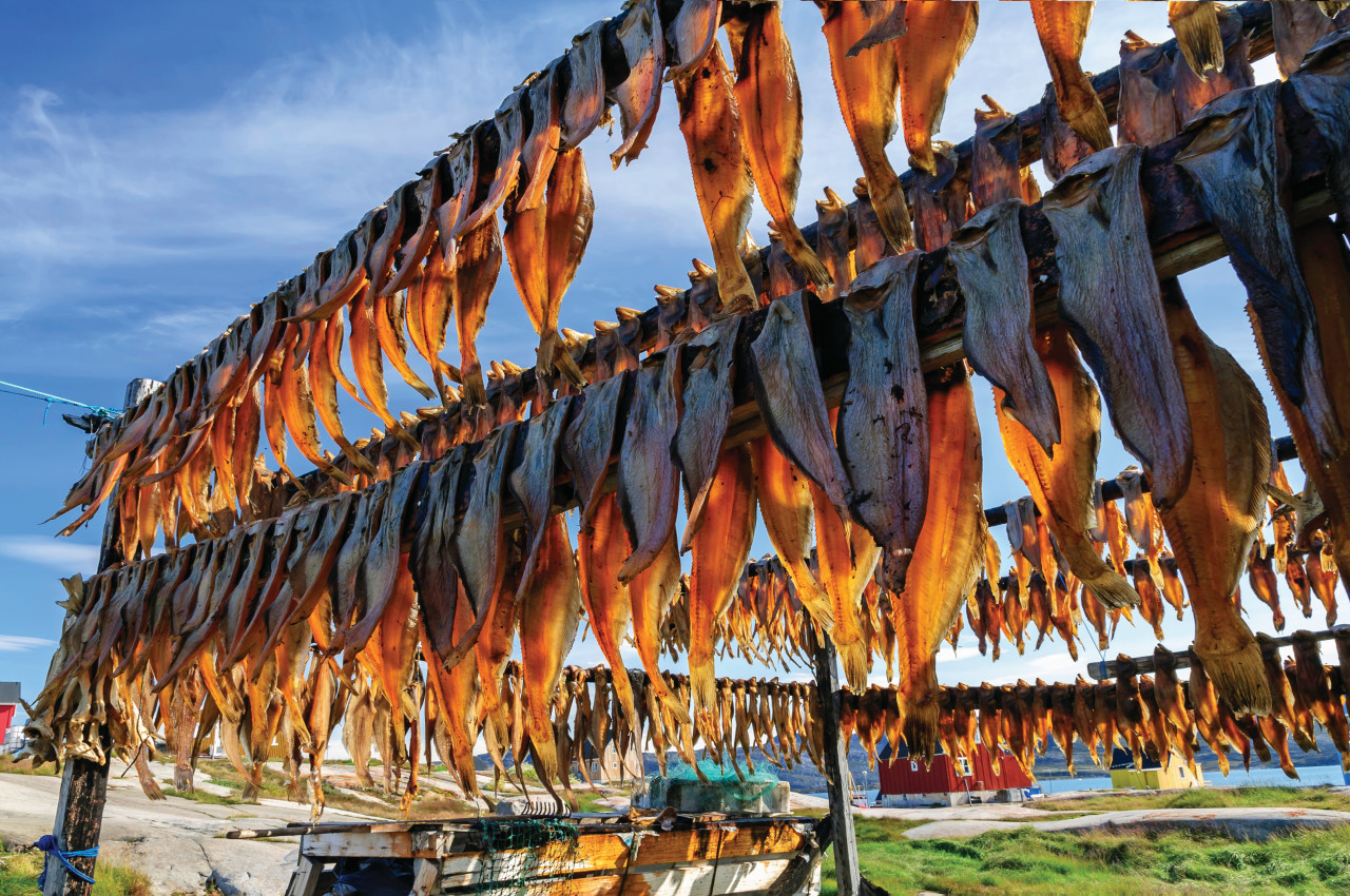 <p>Les poissons sont séchés pour la conservation.</p>