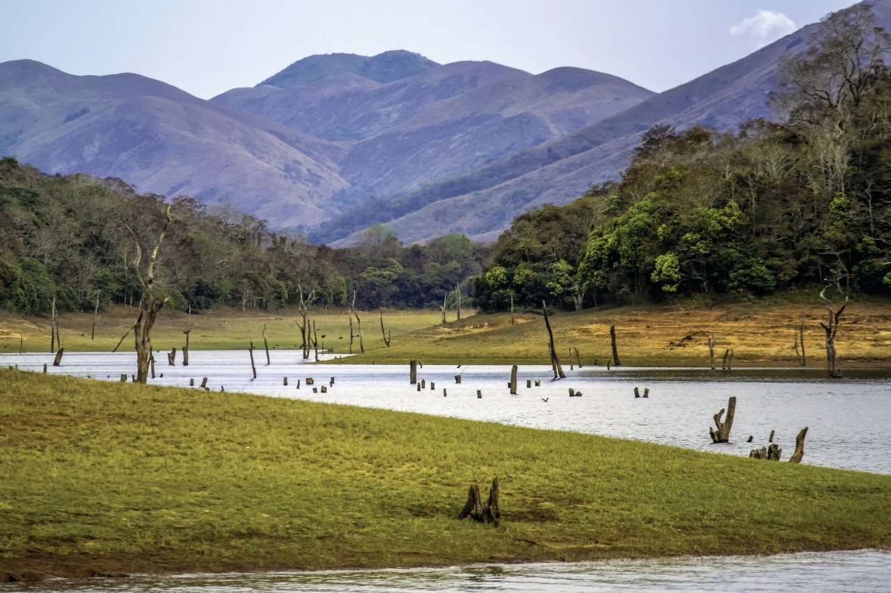 <p>Lac Periyar.</p>