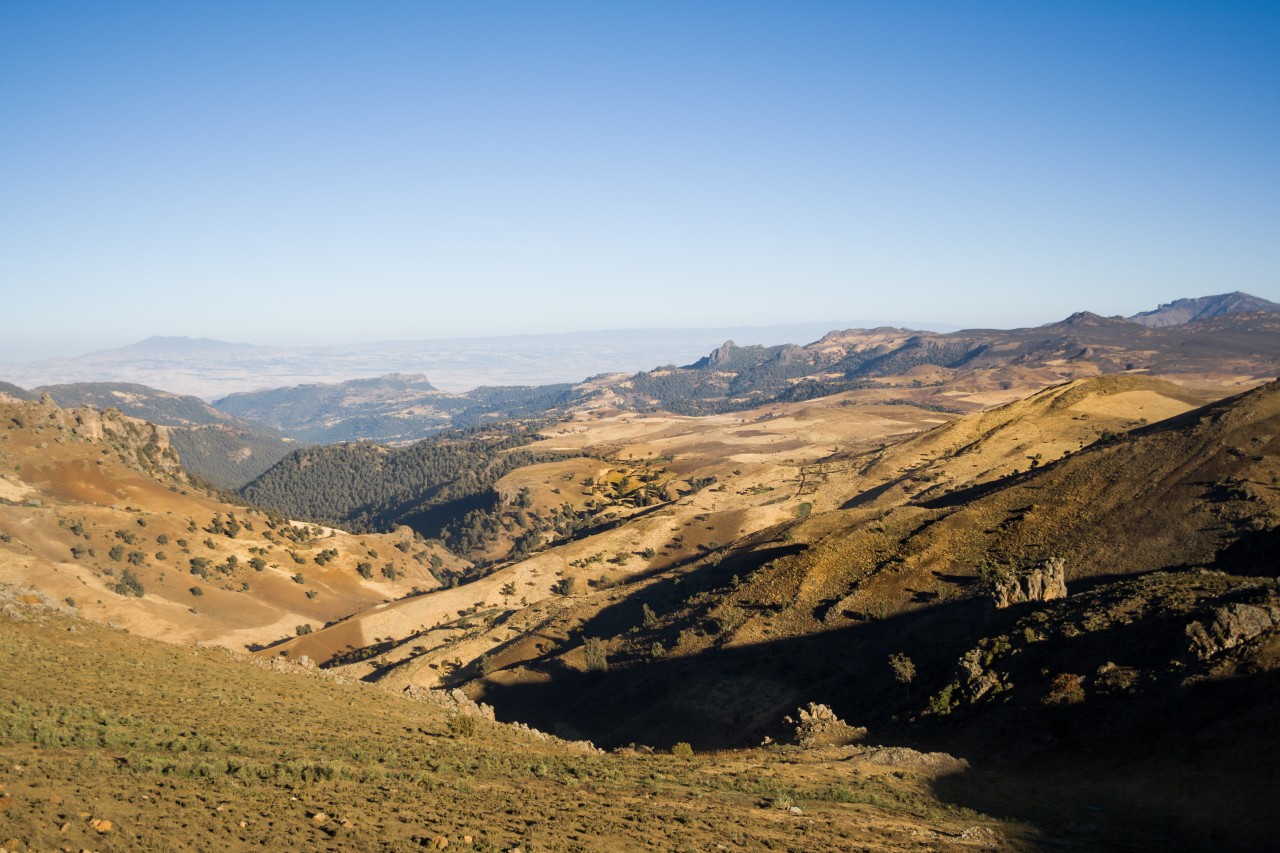 Bale Mountains, Dinsho.