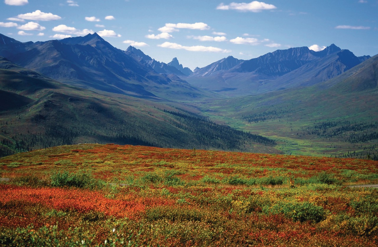 Monts Tombstone depuis Dempster Highway