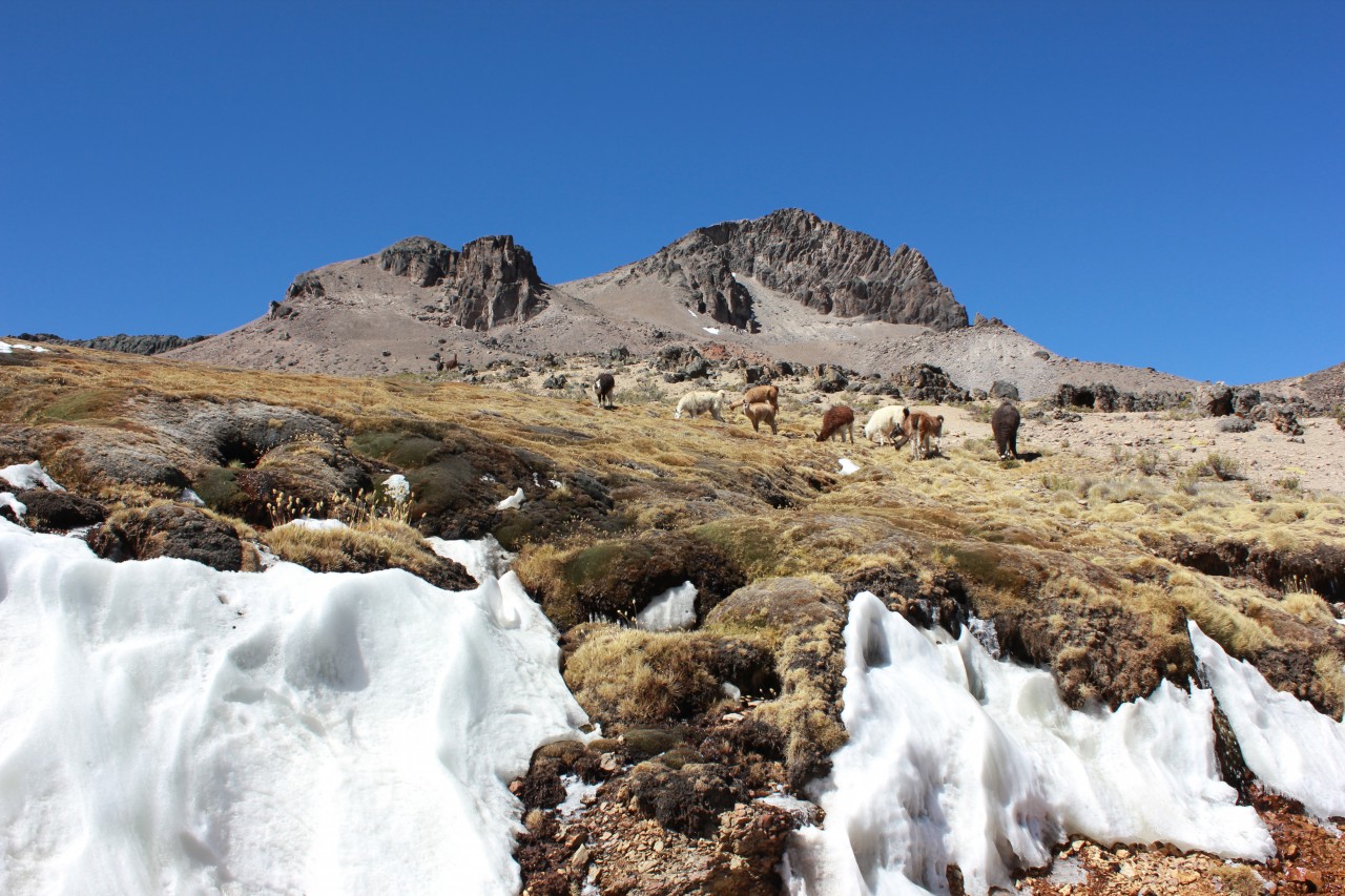 Arequipa.