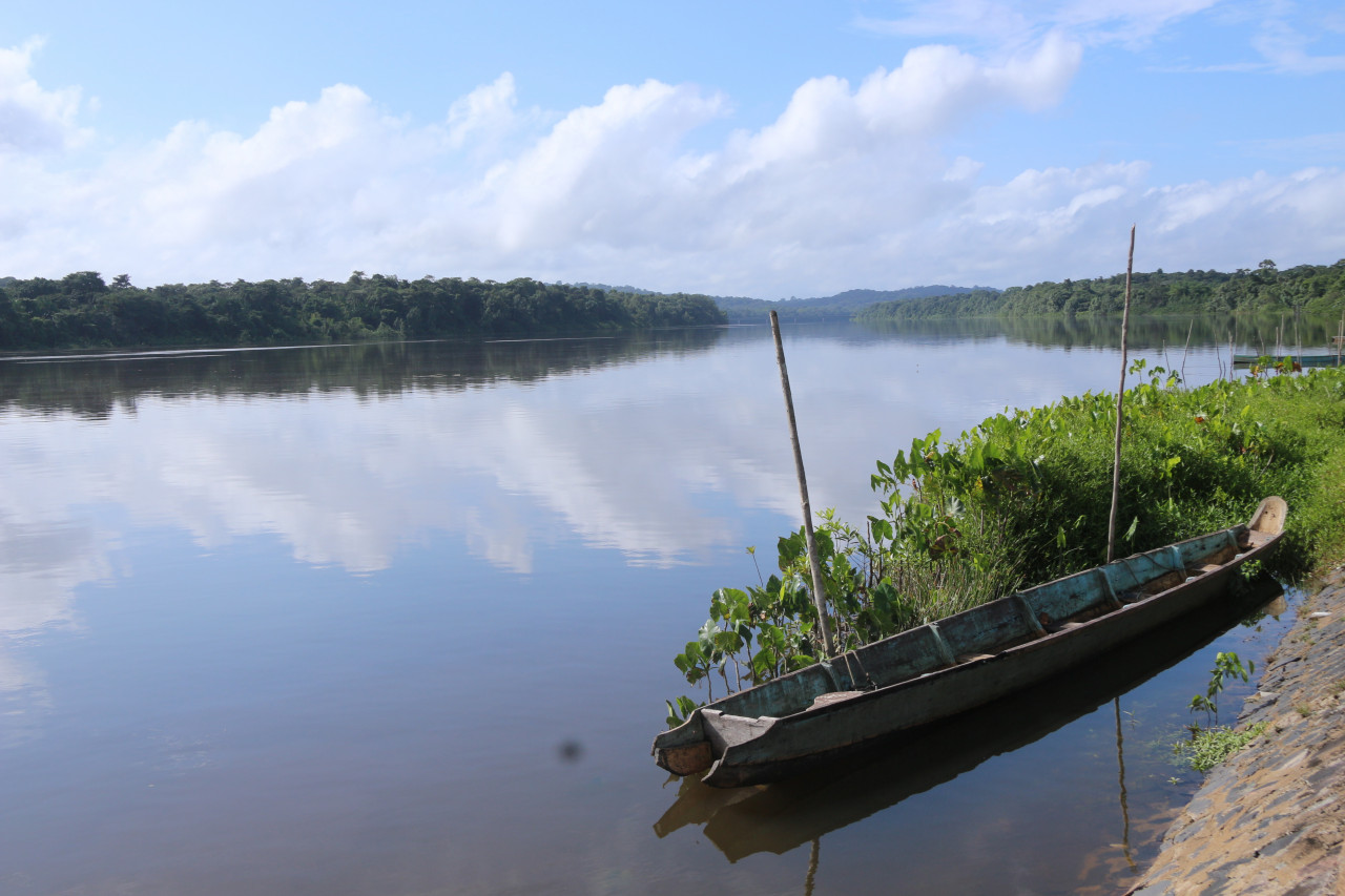 Pirogue sur l'Approuague.