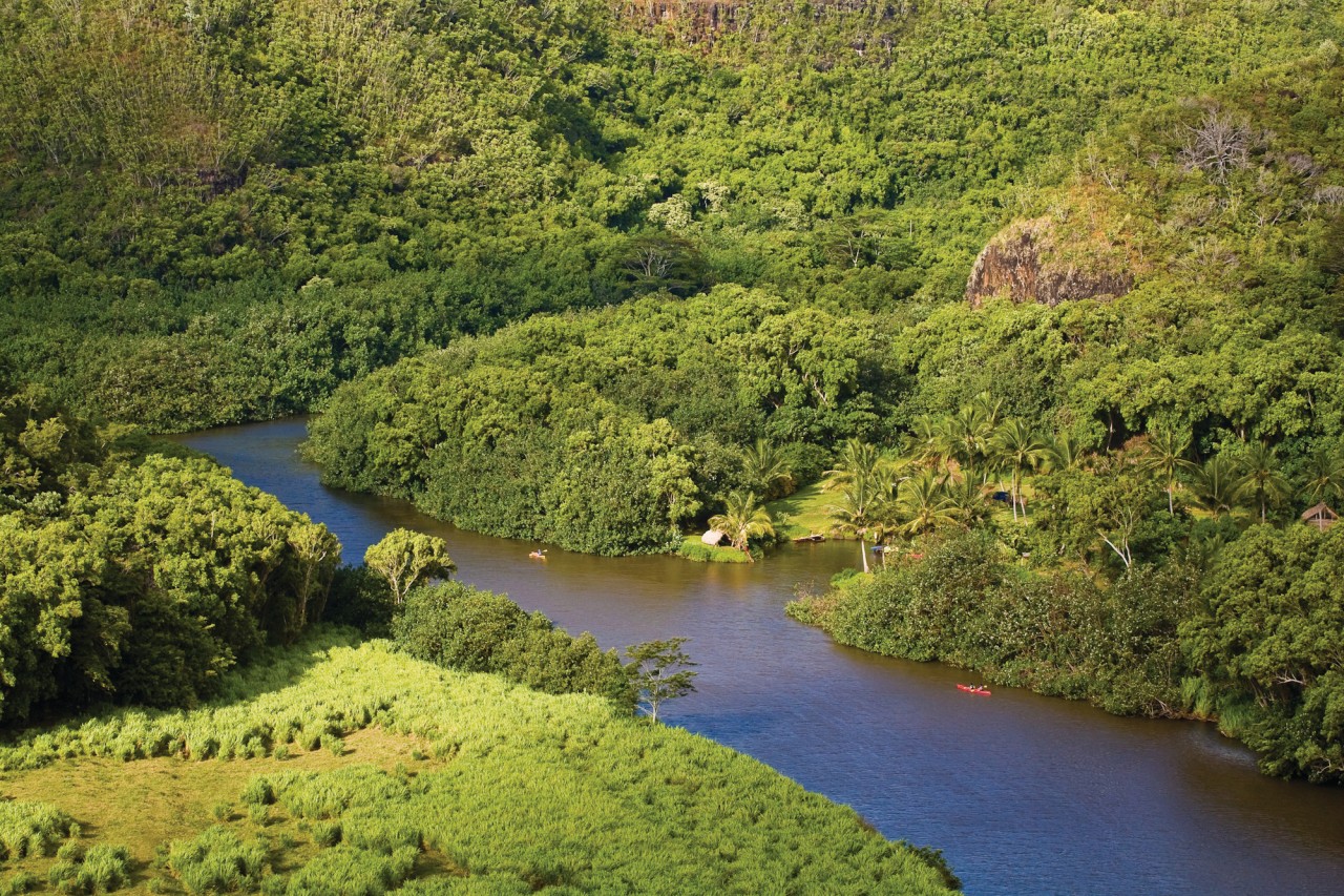 Wailua River.