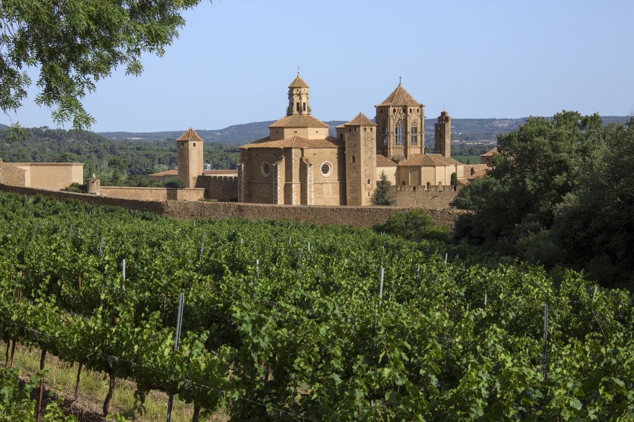 <p>Monastir de Poblet.</p>