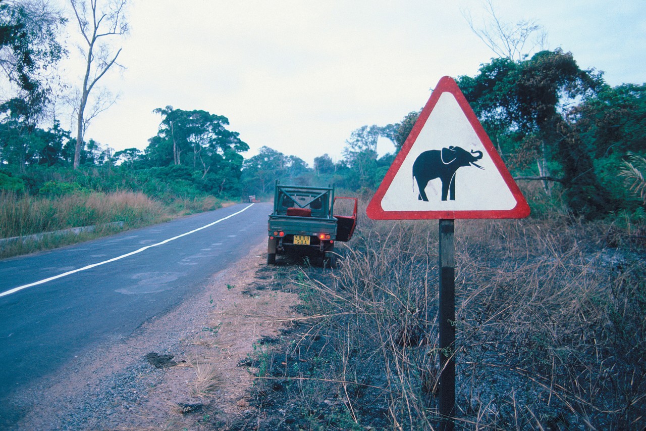 Panneau routier attention aux éléphants.