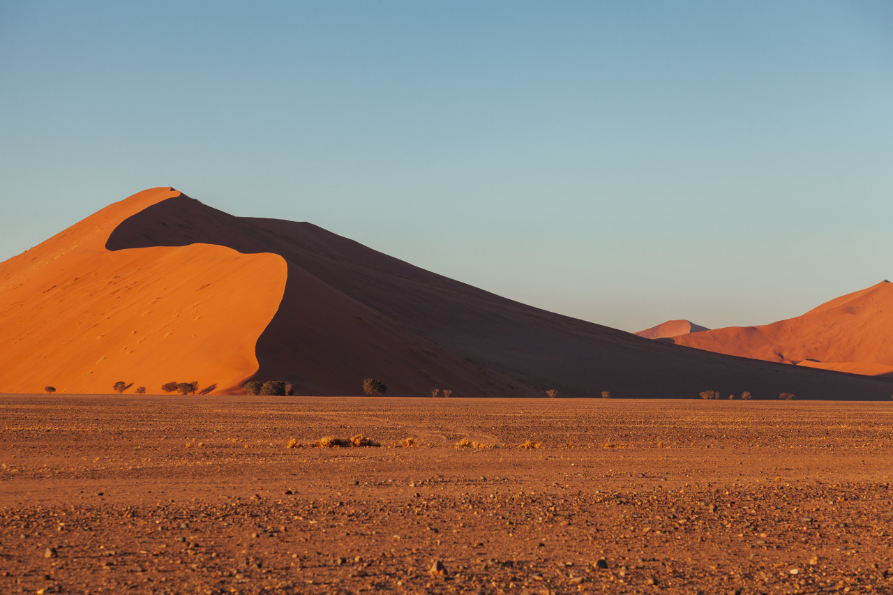 Dune 45, Dunes de Sossusvlei.