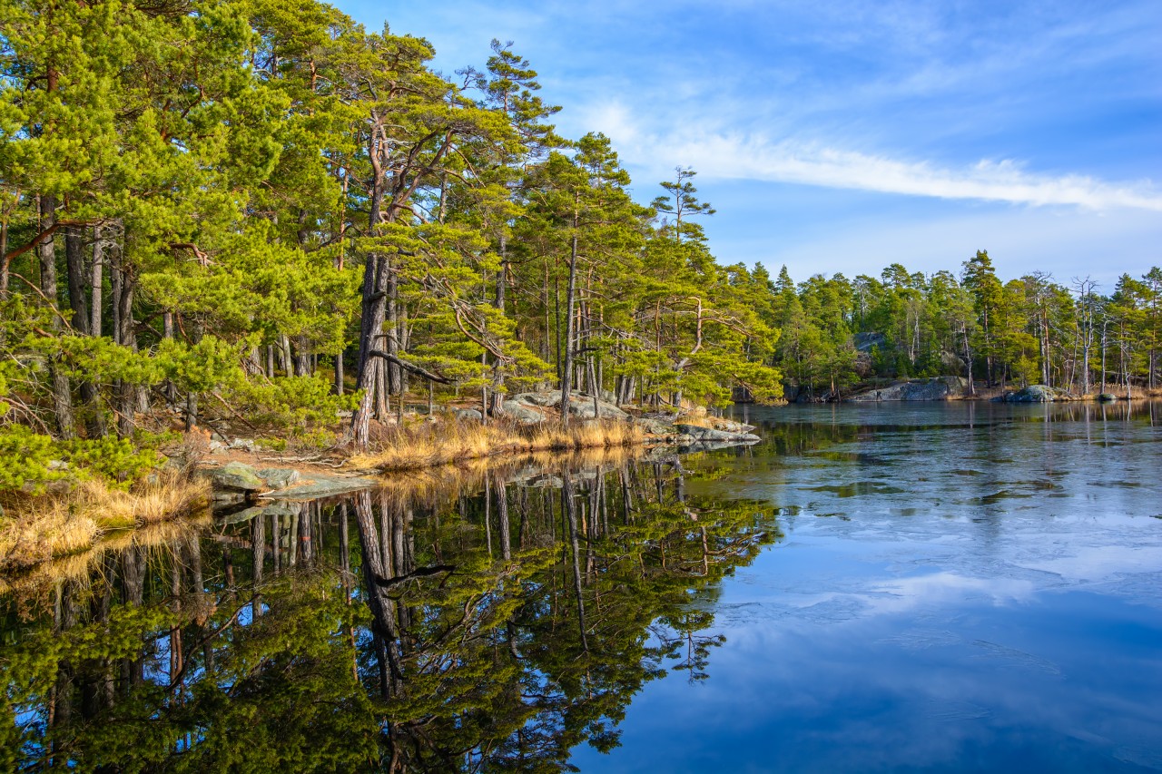 Tyresta National Park.