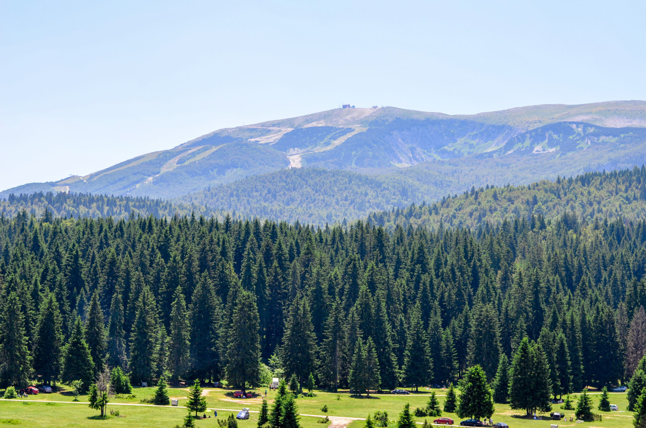 Monts Igman et Bjelašnica.