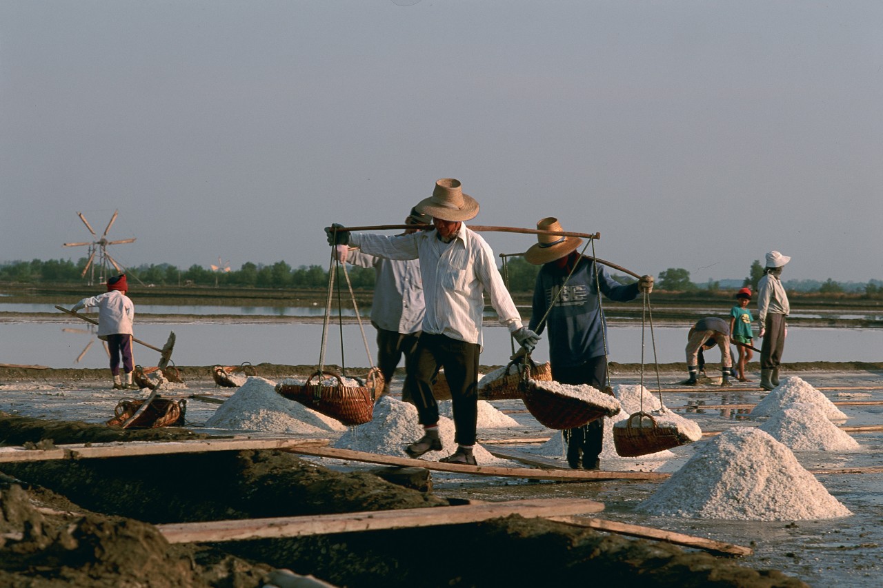 Lac salé de Damnoen Saduak.