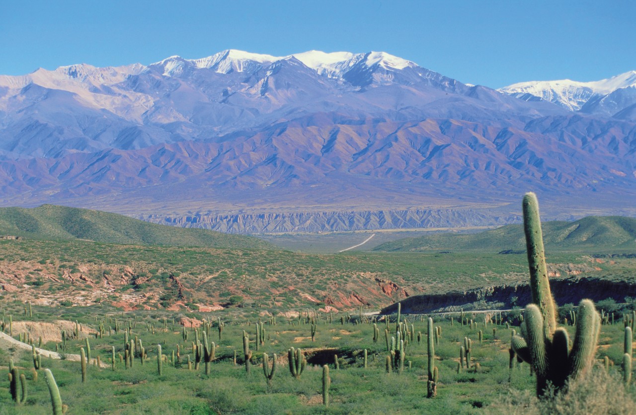 Paysage de la région de Salta.