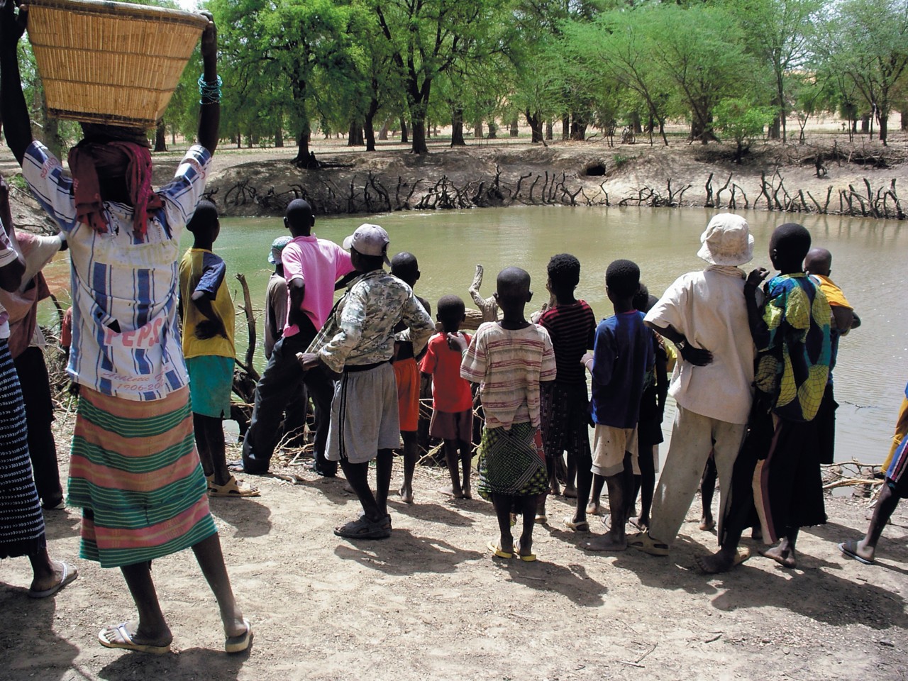 A Amani, les Dogon vivent en bonne intelligence avec les caïmans sacrés