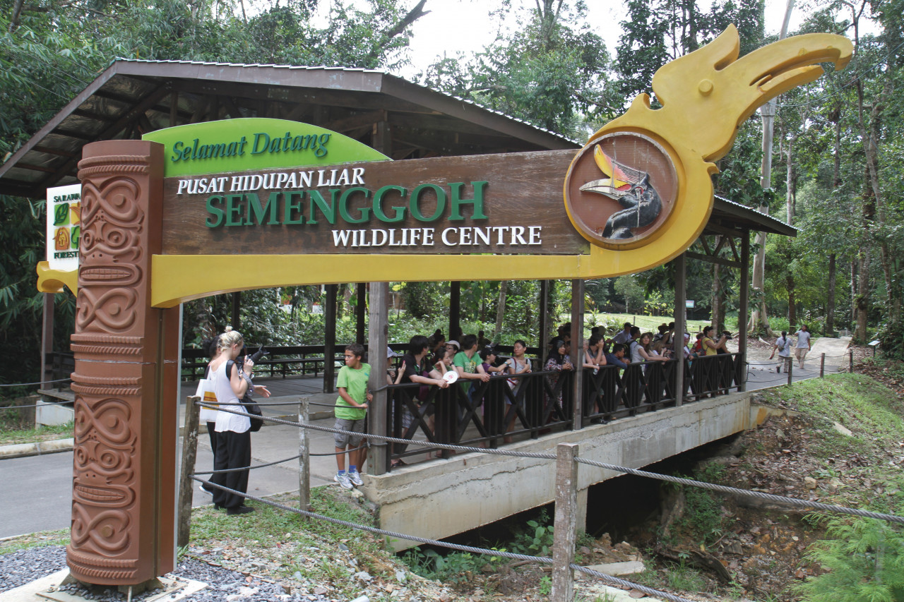 Centre de réhabilitation des orangs outans de Sepilok