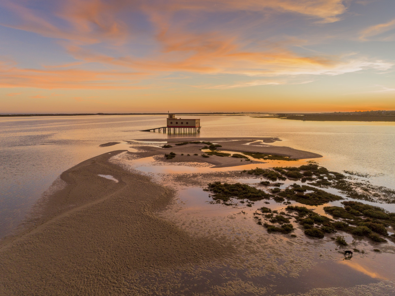 Parc naturel de la Ria Formosa.