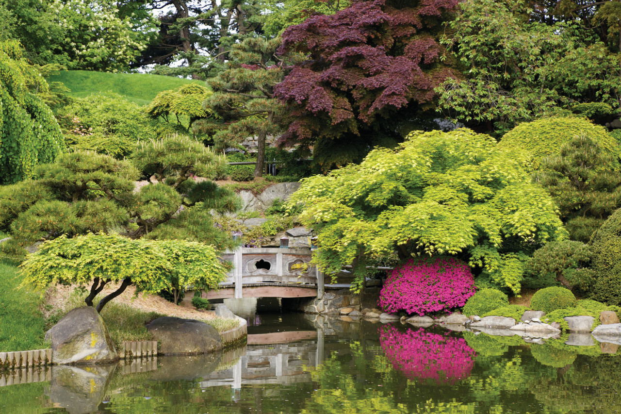 Jardin botanique de Brooklyn.