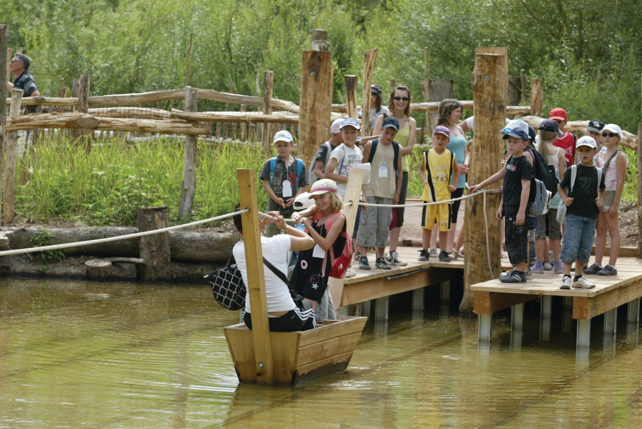 Le voyage de Néo au Parc animalier de Sainte-Croix