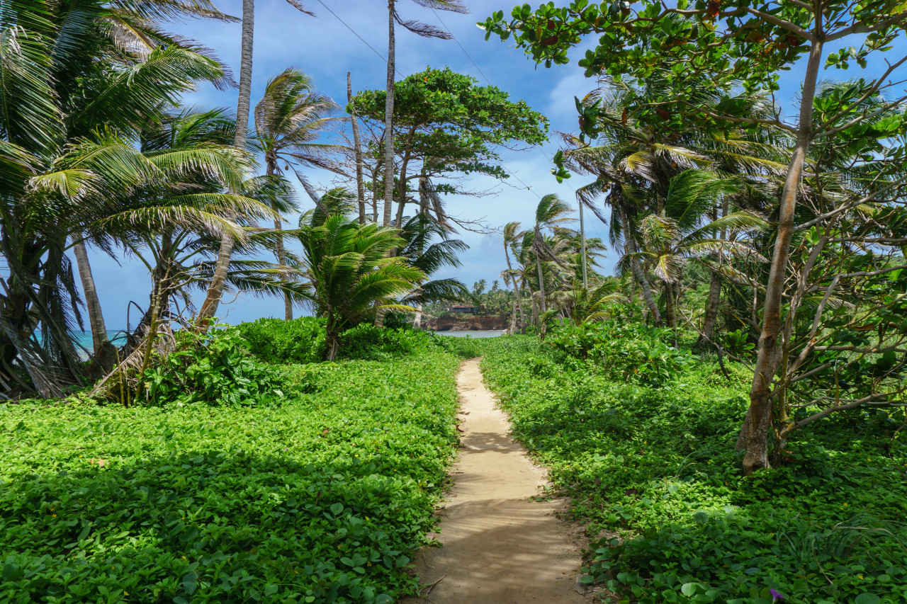 Little Corn island.