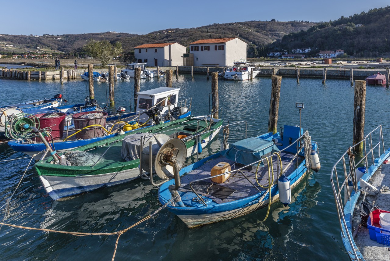 Bateaux de pêche à Strunjan.