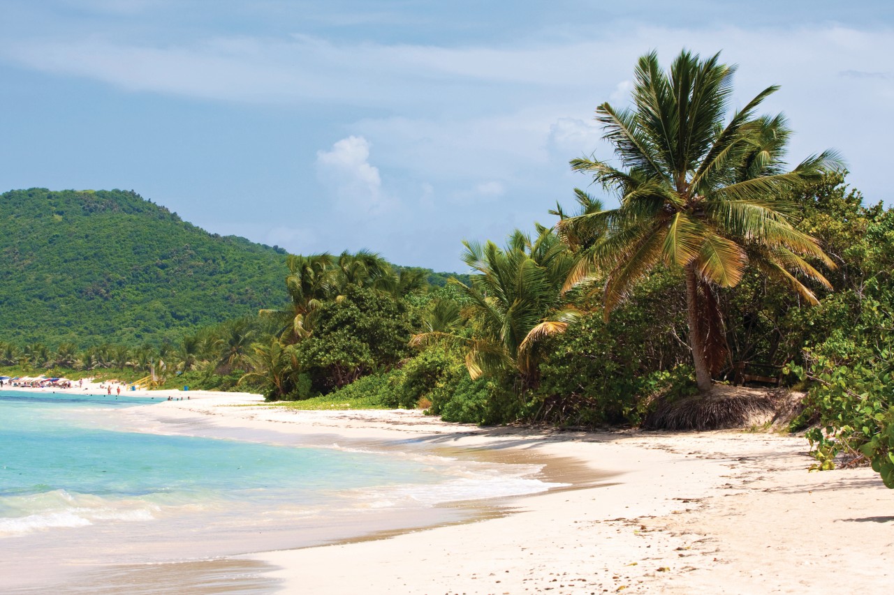 Playa Flamenco.