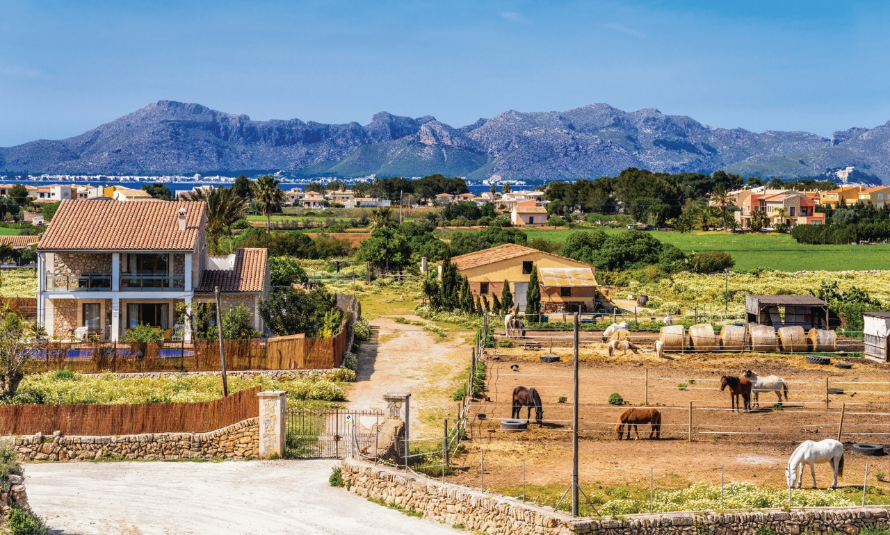 Paysage rural près d'Alcúdia.