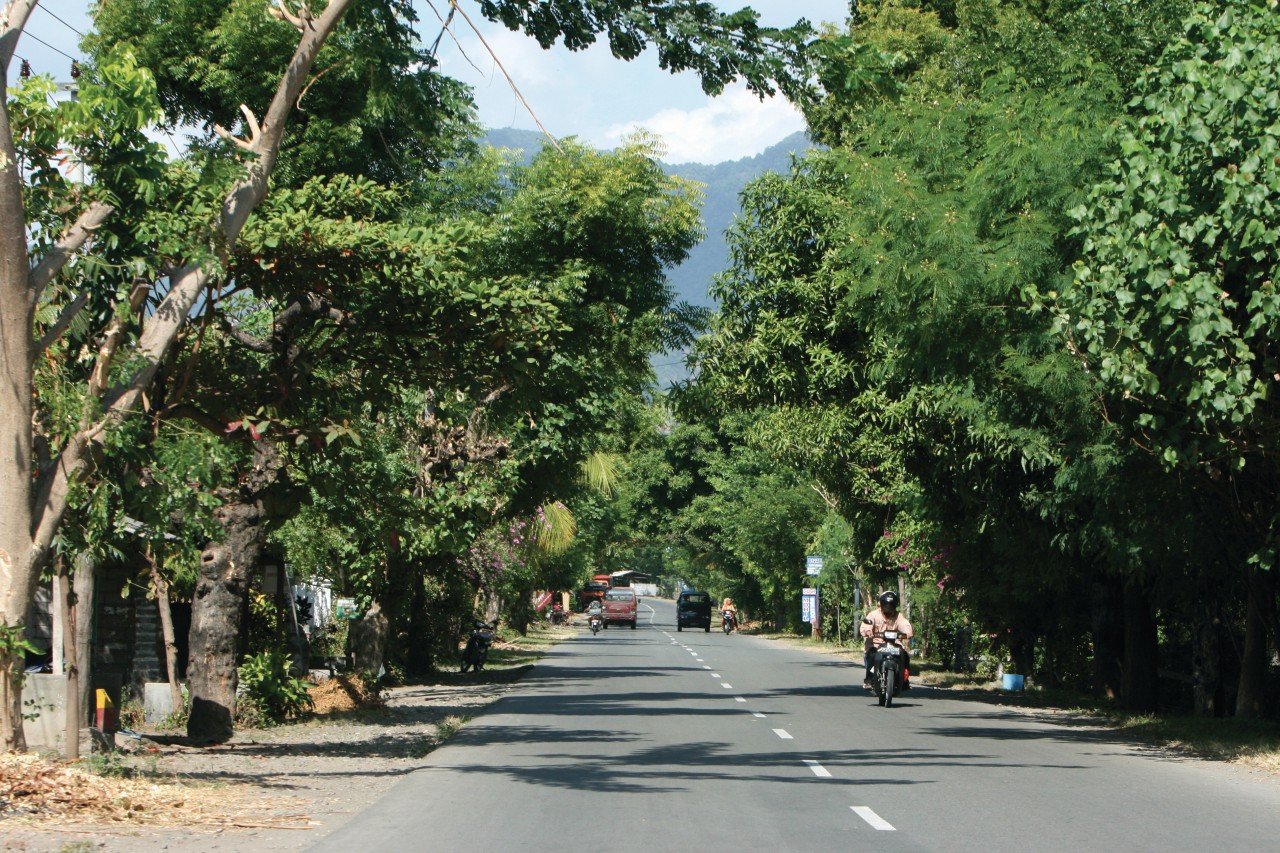 La principale route du nord de Bali reliant tous les points côtiers.