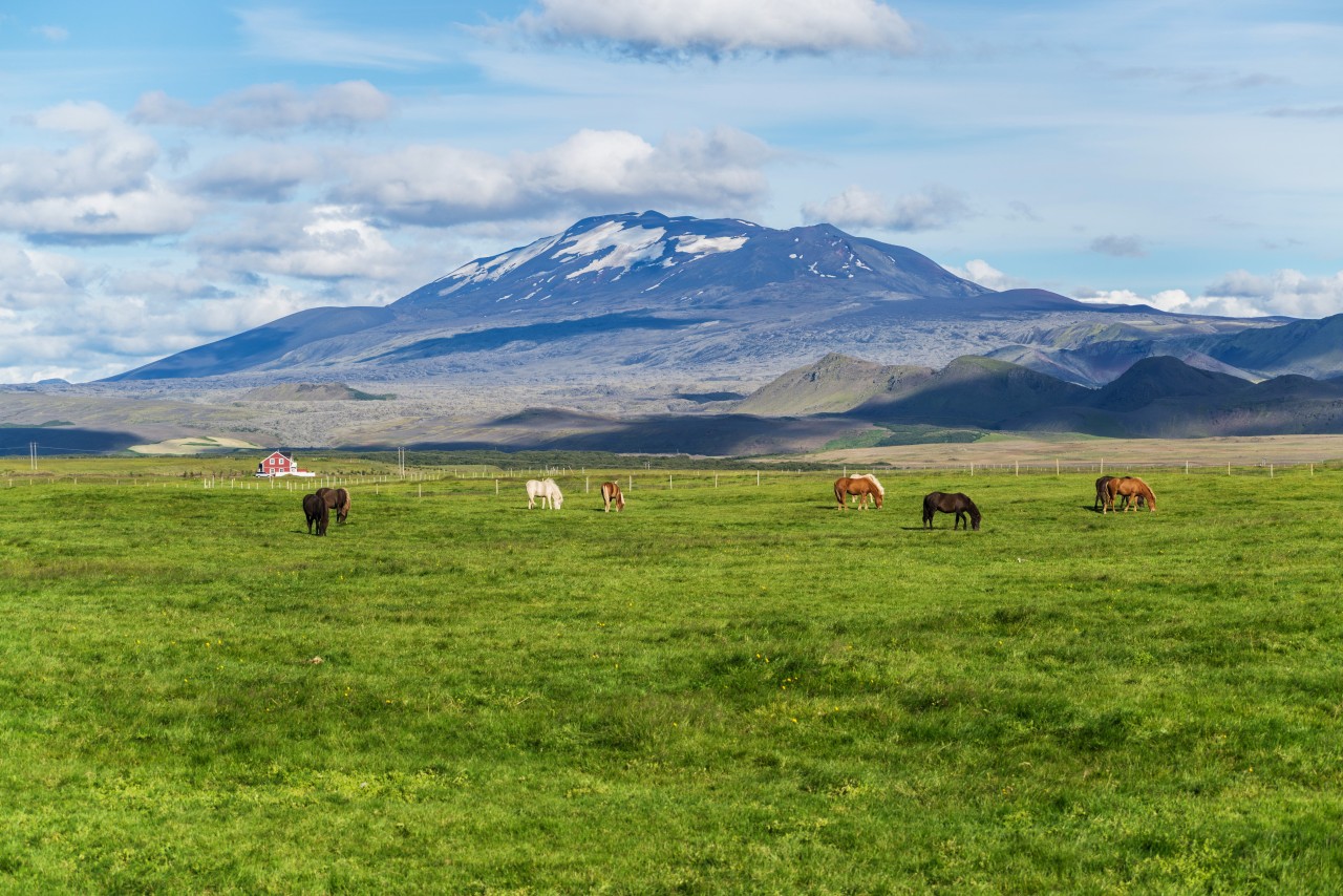 Paysage d'Hekla.