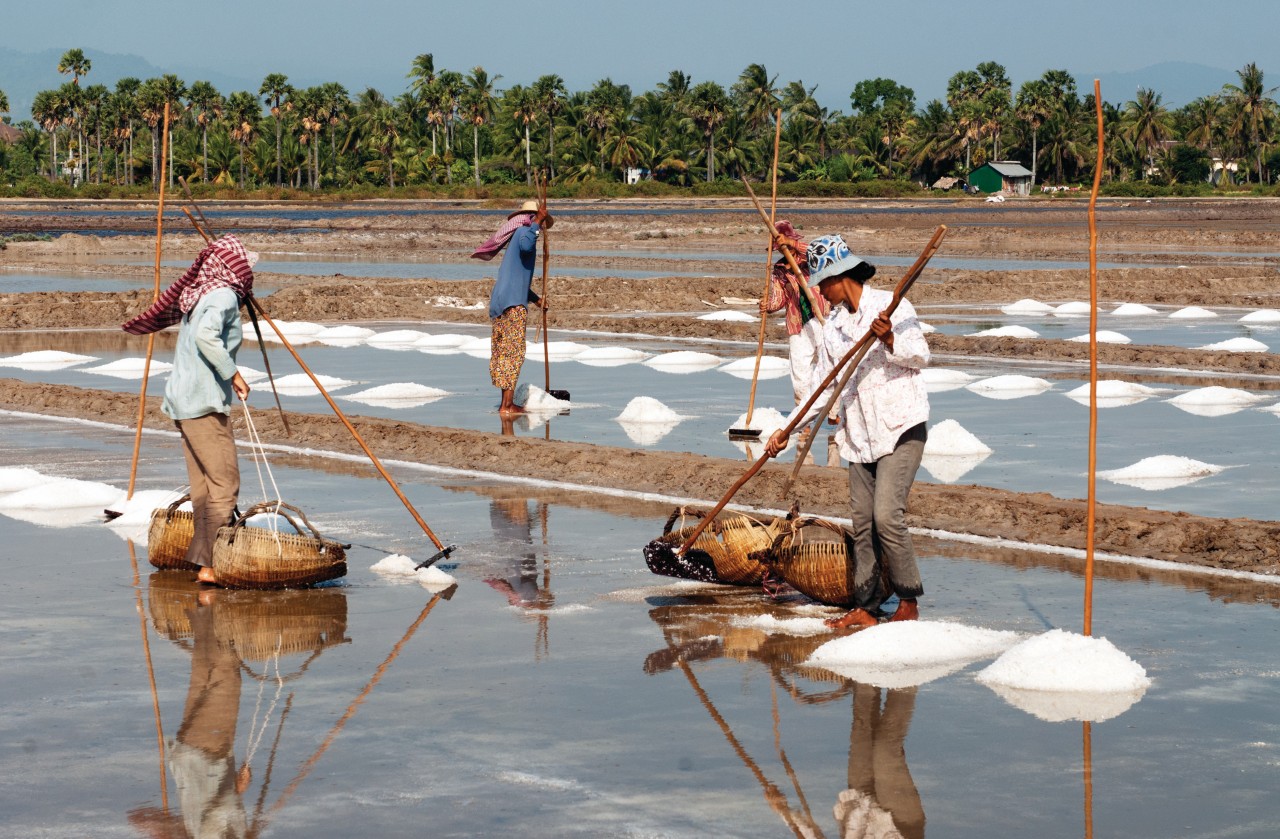 Salines entre Kep et Kampot.