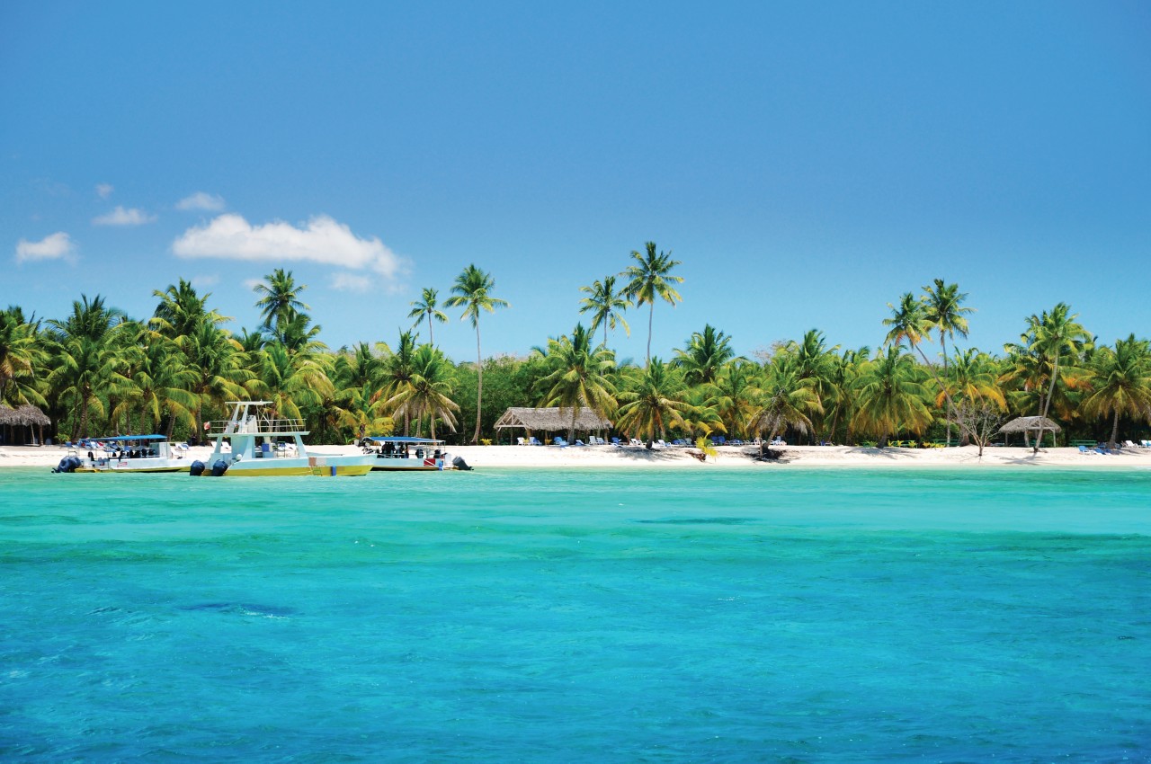 Plage tropicale et cocotiers, Punta Cana.