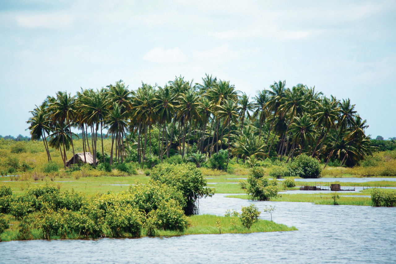 Ouidah.