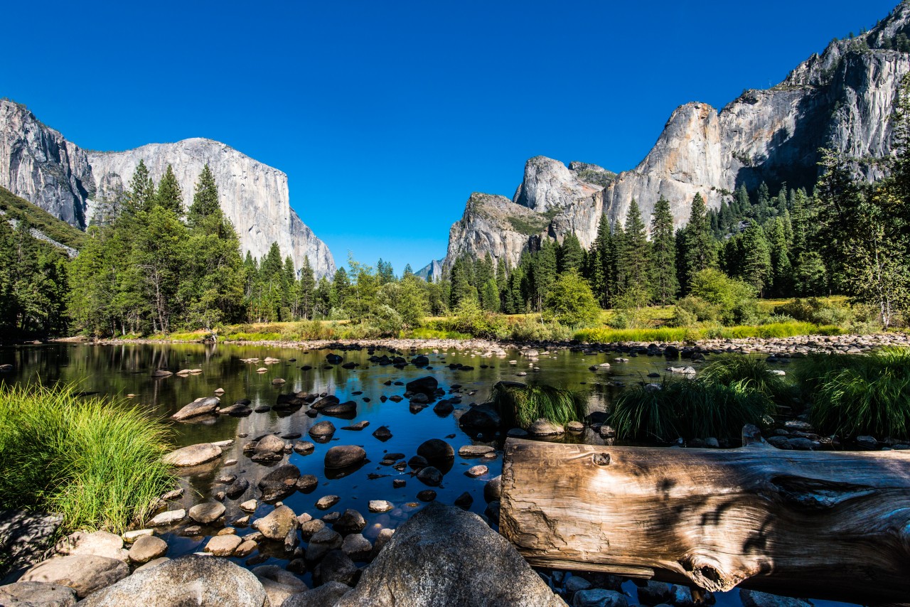 Yosemite National Park.