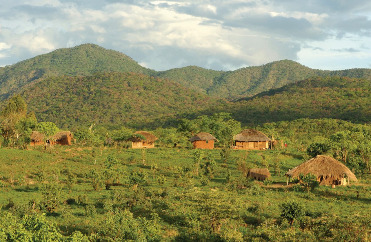 Paysage des rives du lac Malawi.