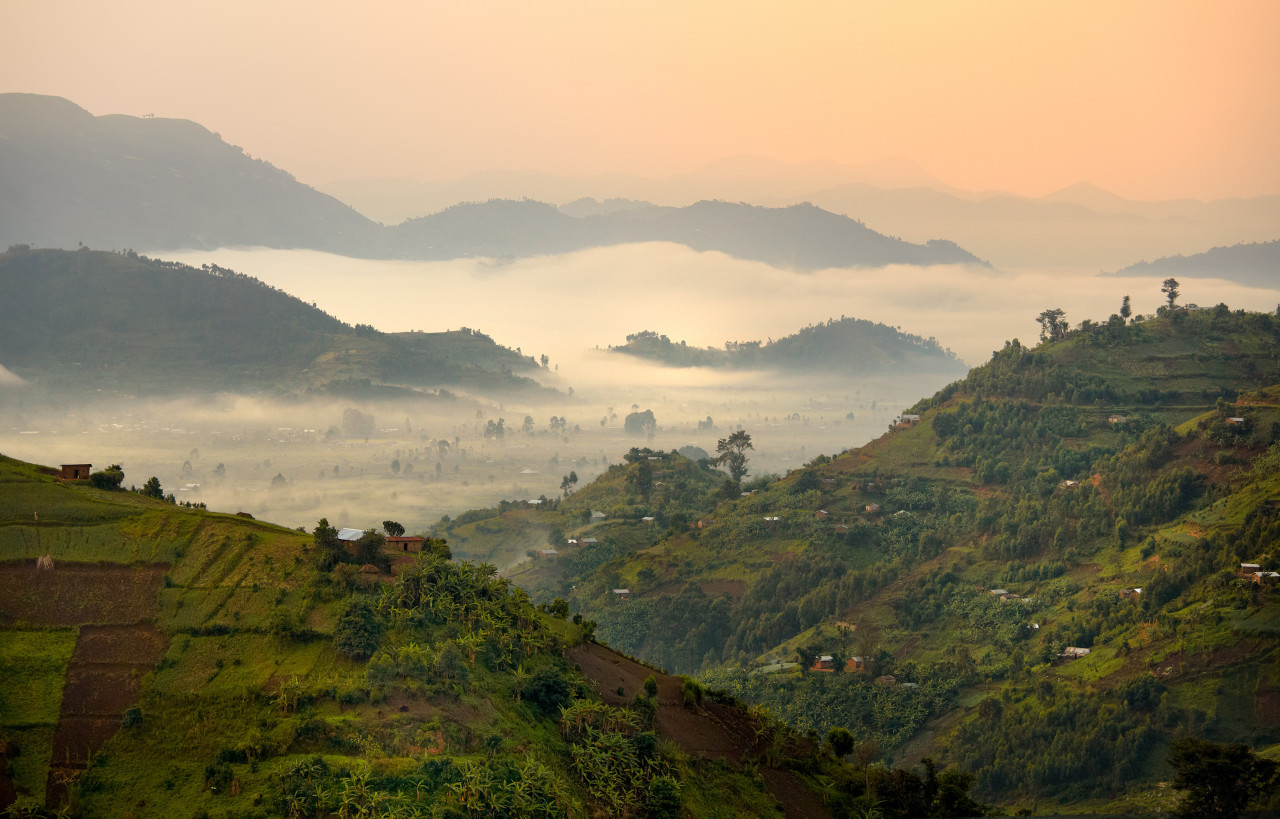 Chaîne des Virunga dans la brume matinale.