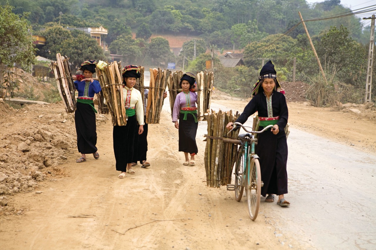 Femmes transportant du bois.