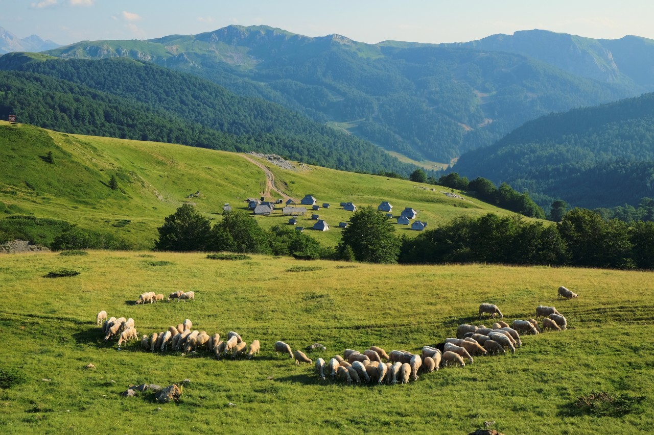 Paysage du parc national de Biogradska Gora.