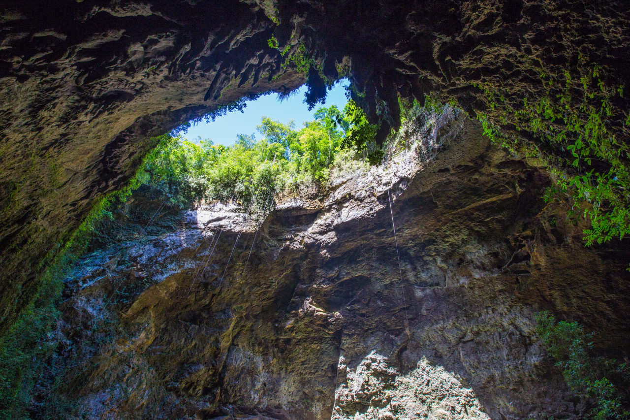 Parque de las cavernas del Rio Camuy.