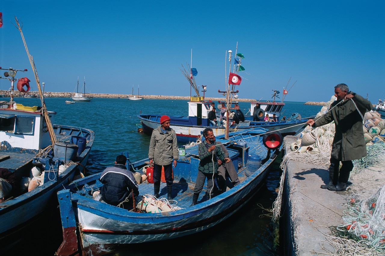 Pêche de poulpes à la gargoulette (amphores), dans le port de Houmt Souk.