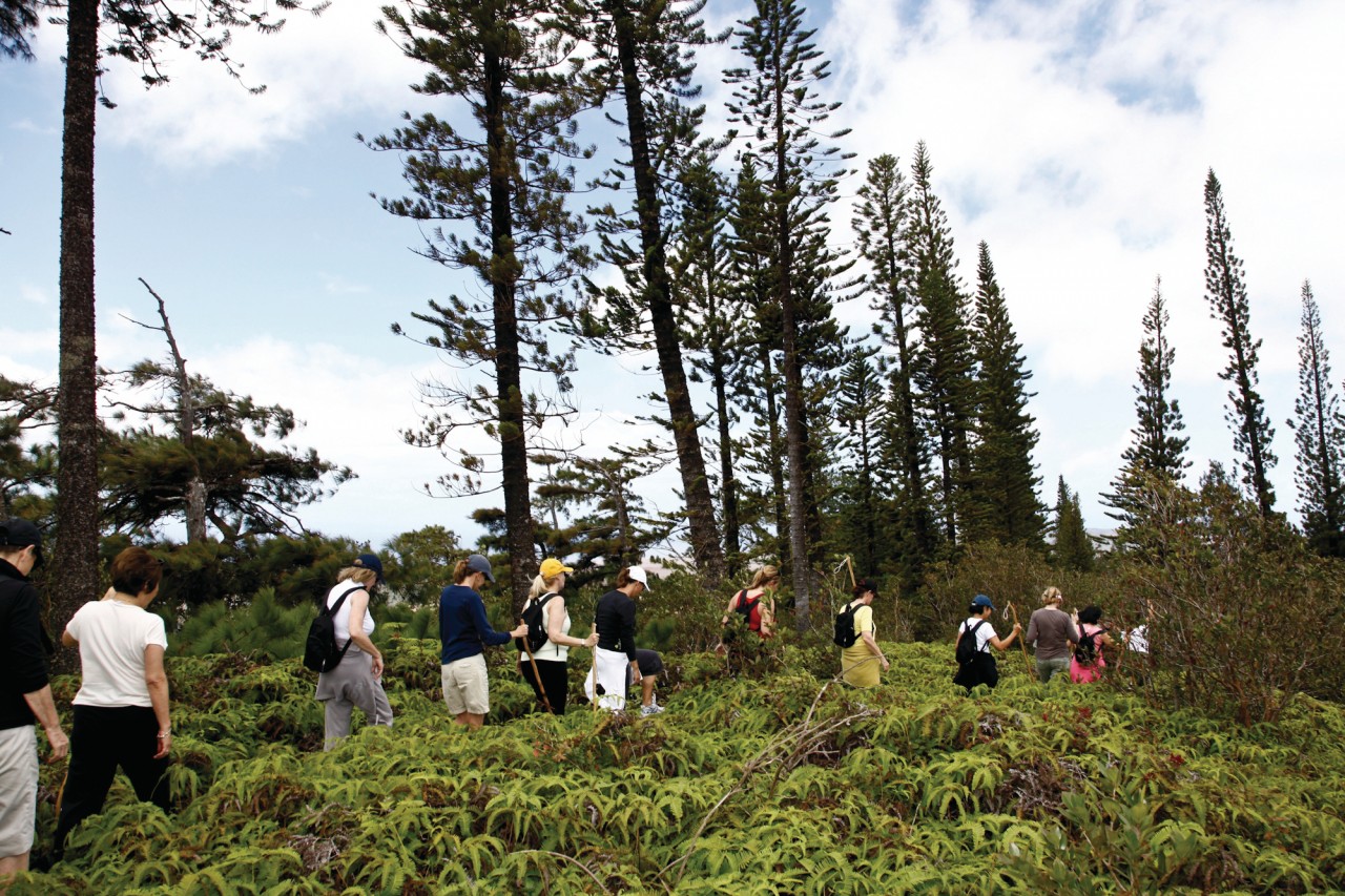 Randonneurs du Munro Trail.