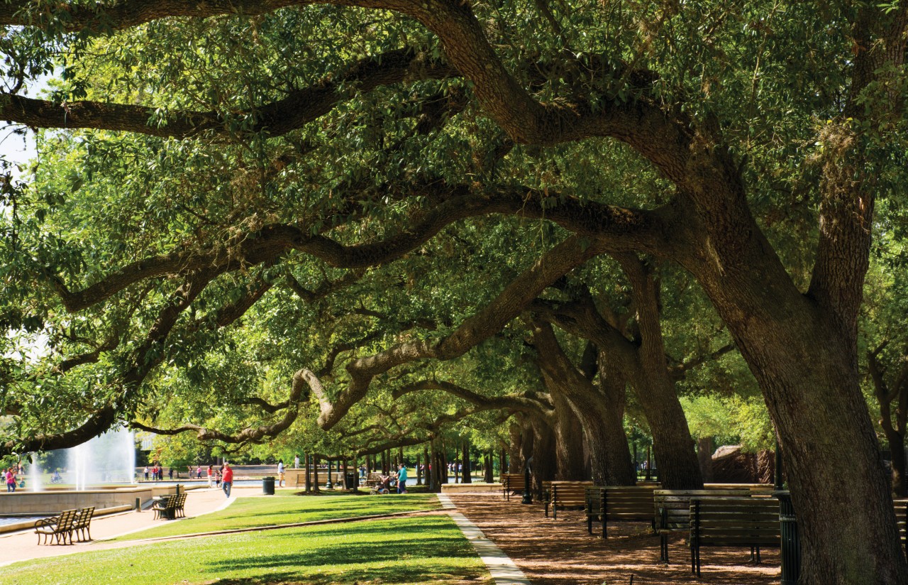 Hermann Park, Houston.