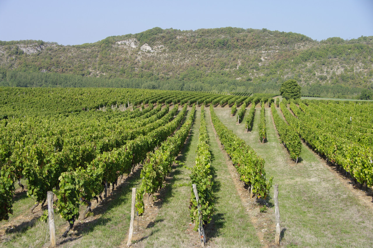 Vignobles de Cahors.