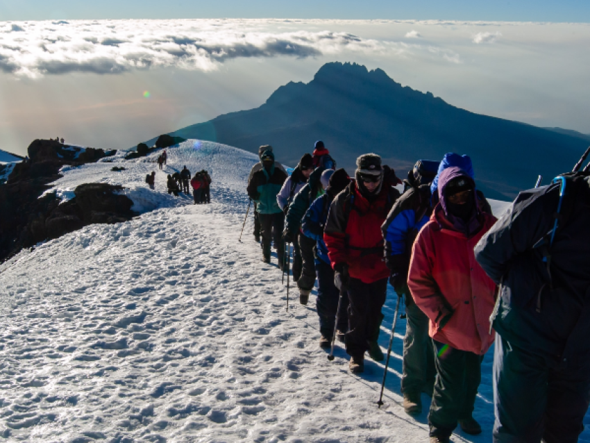 Kilimanjaro