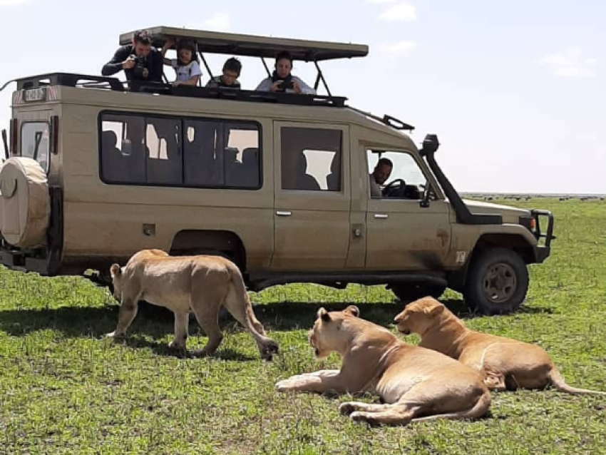 KIRIWE TRAVEL & TREKKING SAFARIS